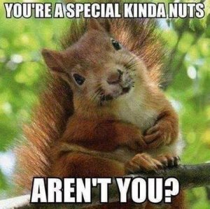 specialnut.jpg