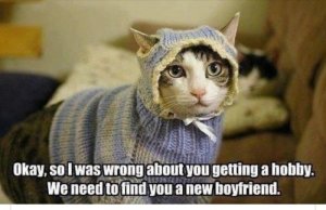 newboyfriend.jpg