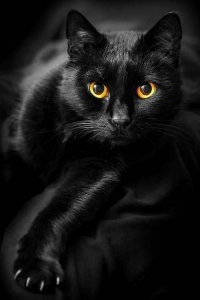 9E6D8A00-A3A3-4824-B7BF-0642CB6D143A.jpeg