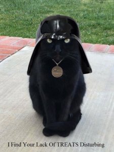 vadercat.jpg