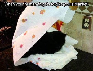 0C673555-8D8A-4DF8-862D-DB9A7D5B69F1.jpeg