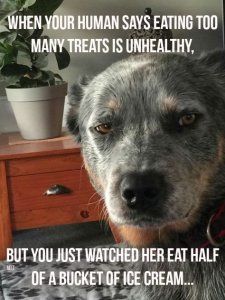 eathealthy.jpg