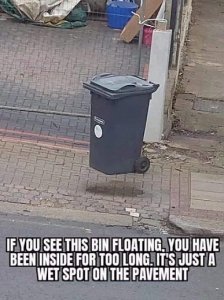 bin.jpg