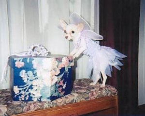 Fairy @.jpg