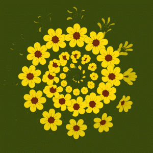 1b48d5ed8bf057a7fd5d6470ef98db16.gif