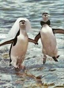 Newlyweds @.jpg