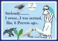 FB_IMG_1598070446510.jpg