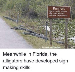 FB_IMG_1598070332833.jpg