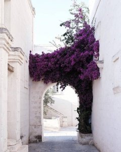 tumblr_dcfeb29a679e5e5841f7ead7ec69a058_1205897b_500.jpg