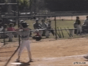 kids-softball-is-a-brutal-brutal-sport-stay-away-x-gifs-7.gif