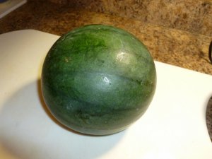 whole picked wartermelon.JPG