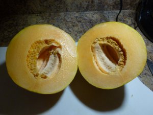 cut cantalope.JPG
