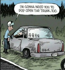 117166828_1558718877634163_2071553938000456027_n.jpg