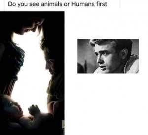 james dean the dog.jpg