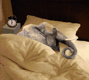 elephant sleep.gif