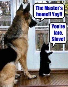 masterslave.jpg