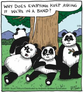 pandaband.jpg