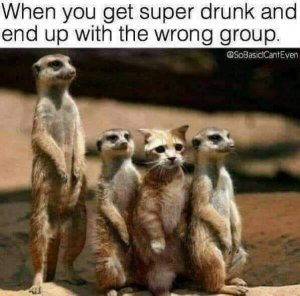 wronggroup.jpg