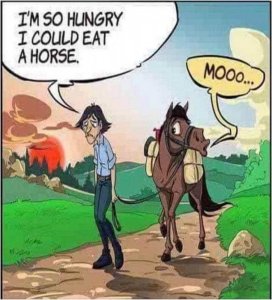 moo.jpg