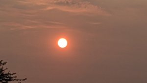 PXL_20200826_134538375.jpg