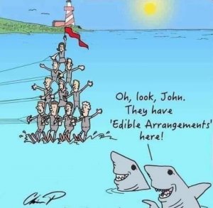 sharks.jpg