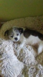 20200714_172009.jpg