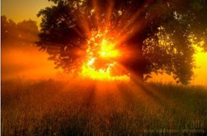 orange sun.jpg