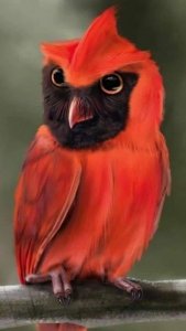 red stuff owl.jpg