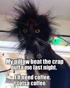 AA277ECB-E039-4C40-B7FF-47179460E8B9.jpeg