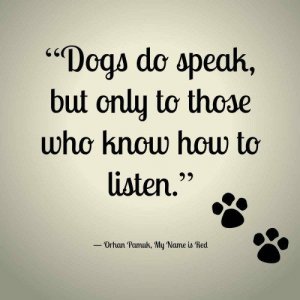 “Dogs do speak, but only to those who know how to listen_” -.jpeg