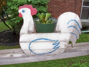 chicken planter.jpg