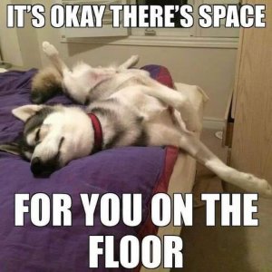 spaceonfloor.jpg
