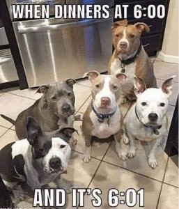 FB_IMG_1598350730199.jpg