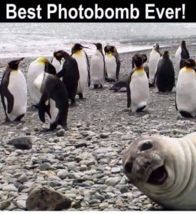 FB_IMG_1598298041777.jpg