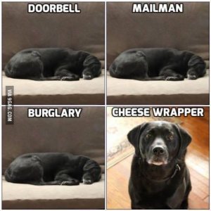 43333495-A70E-42BD-8838-0F646F595556.jpeg