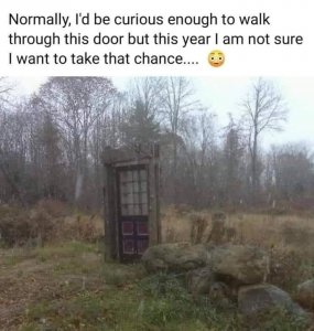 73341429_4333300233354721_8161437663297918461_n.jpg