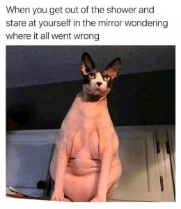 66393224_2442923442441525_7757536098577809408_n.jpg