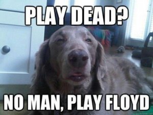 1A286537-CDC5-43D2-BAFD-34A907EB5570.jpeg