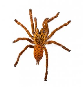2de48d64da5e5e59c221b0d354e86583.jpg