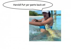 harold.jpg