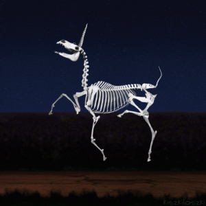 tumblr_10c58e7fc8fc574f36e9fef191b6912a_8b59d4b3_500.gif