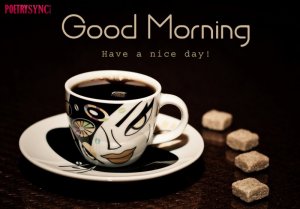 8 Latest good morning tea cups wallpapers with biscuits photos free download..jpg