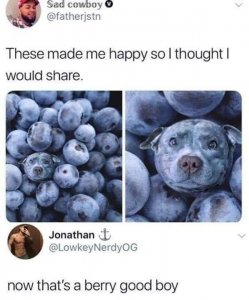 dog blue.jpg