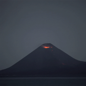 tumblr_d0c7260e8675e12d051b824d604a0222_7933fe6b_500.gif