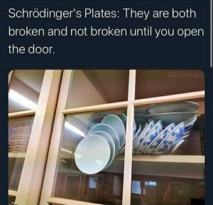 schrodinger.jpg