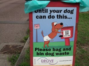 dog bin.JPG