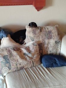 IMG_20200905_073019449.jpg
