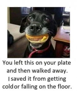 FB_IMG_15990790762038679.jpg