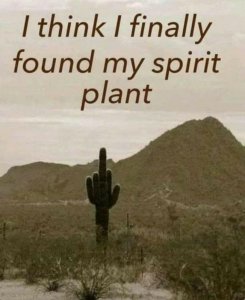 spiritplant.jpg