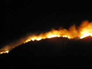 IMG_6970.JPG